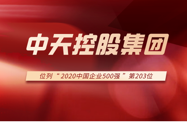 豪运国际集团列2020中国企业500强第203位！